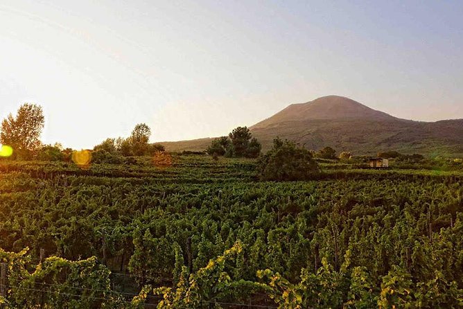 Visit Pompeii and Sorrento - Who Should Consider This Tour?