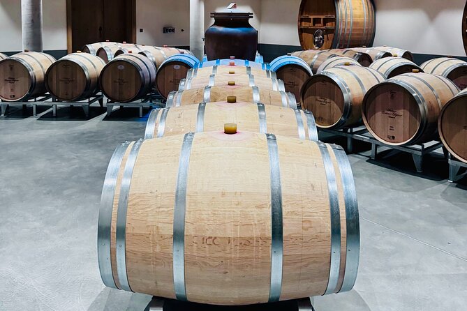 Visit Saint-Emilion and Pomerol:Vineyards, lunch and tastings included - Final Thoughts: Is It Worth It?
