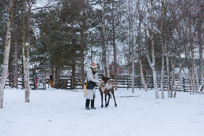 Visit the Sami and Reindeer in a Day Trip from Abisko - FAQ