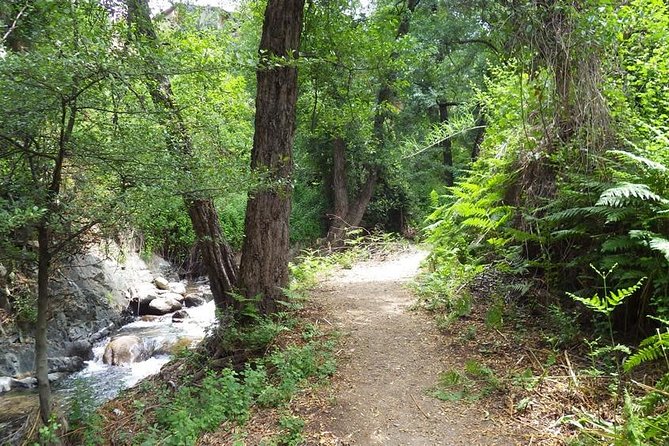 Walk on Artemis trail and in Old Kakopetria - Practical Details & What to Expect