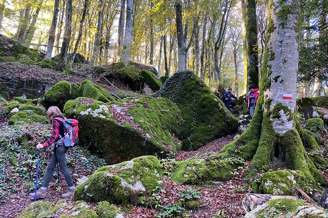 Walk on the volcano slopes - What’s Included and What You Should Know