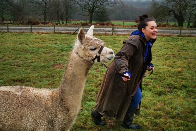 Walking with Alpacas - The Itinerary in Detail