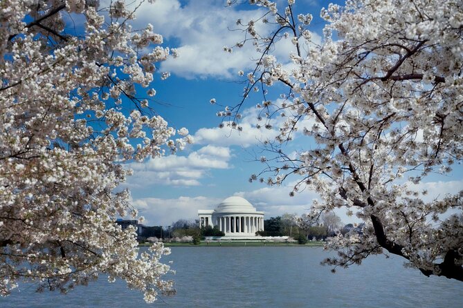 Washington DC Private Tour with Luxury SUV and Tour Guide - Practical Tips for Booking
