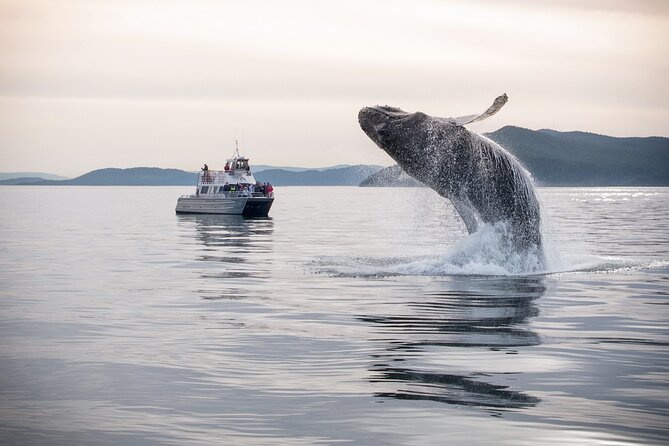 Whale Watching + Deception Pass Tour from Seattle - Who Would Love This Tour?
