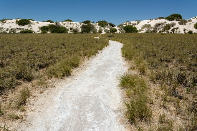 White Sands National Park Self-Guided Driving & Walking Tour - Who Is This Tour Best For?