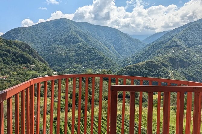 Wine and Dine Tour To Batumi Waterfalls - Mountainous Adjara - Final Thoughts  