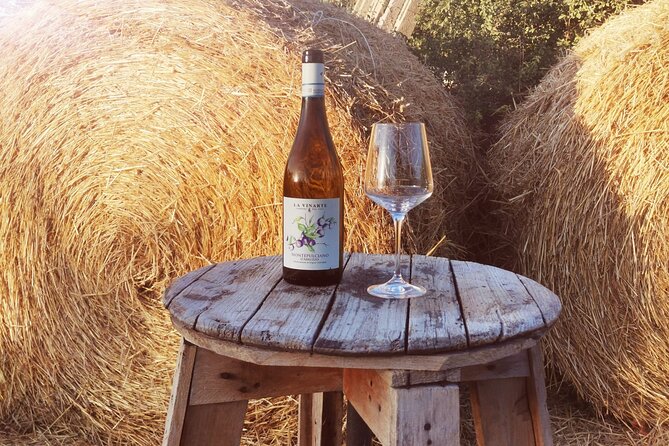 Wine Tasting and Guided Visit to the Vineyard and Cellar in S. Maria Imbaro - Who Should Book This Experience?