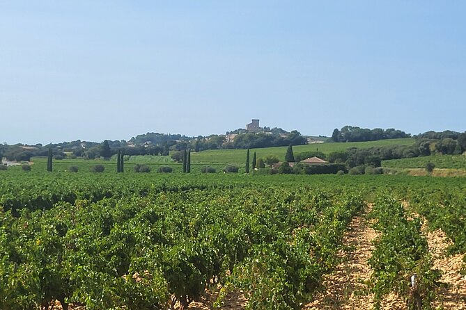 Wine Tasting Tour at Châteauneuf du Pape - Who Should Consider This Tour?