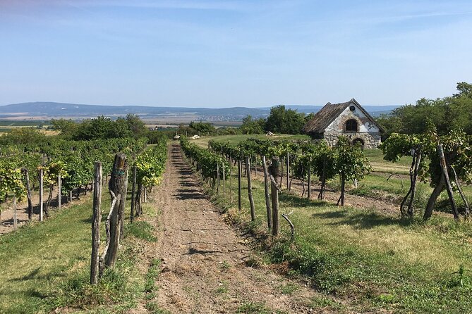 Wine Tour of Etyek from Budapest, taste even 7 kinds of wines! - Who Will Love This Tour?