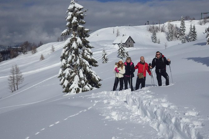 Winter Fairytale - Triglav National Park Half Day Trip - FAQ