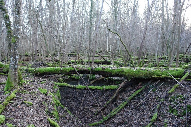 World War 1 Walk Through Trenches and Bunkers - Who Will Love This Tour?