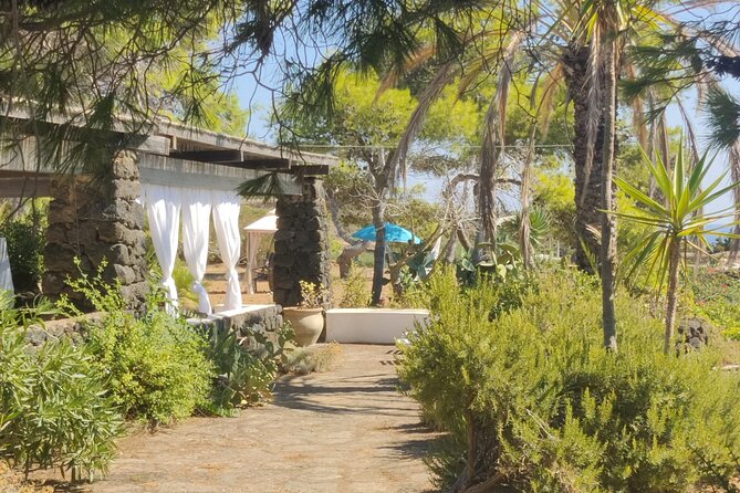 Yoga Class in Pantelleria Vinyasa, Hatha, Yin and Mantras - Authenticity and Guidance