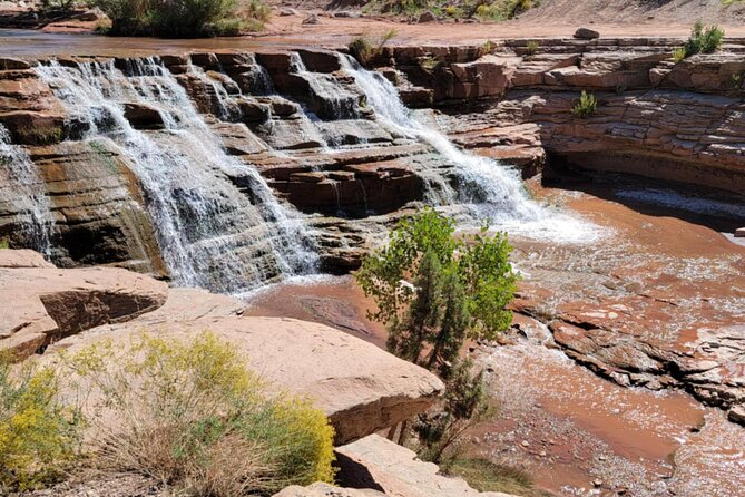 Zion Hummer Tour to Zion Waterfall with swimming - Who Will Love This Tour?