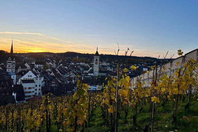 Zurich Private Tour: Stein Am Rhein Schaffhausen and Rhine Cruise - FAQs
