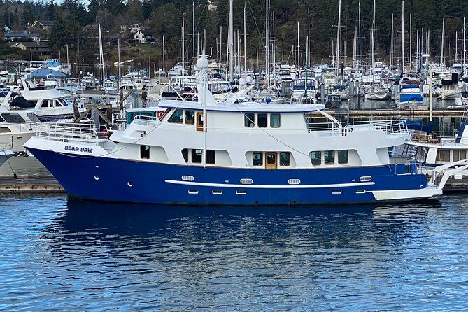 4 Course Dinner Luxury Yacht Dinner cruise out of Friday Harbor - Analyzing the Value: Is It Worth the Price?