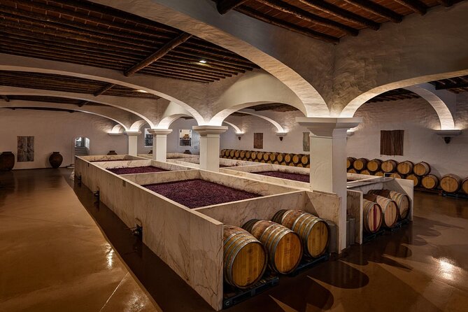 1 Day Wine Tour Around Évora - In The Sum Up