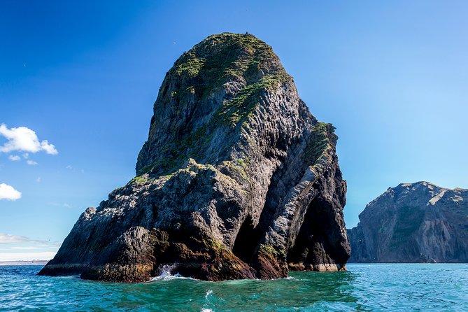 1-Hour Small Group Sightseeing Boat Tour in Vestmannaeyjar - Final Thoughts: Is It Worth It?