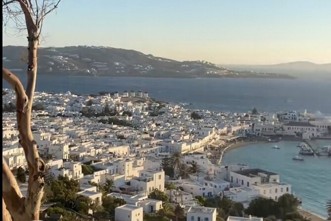 2 Hours Private Mykonos Island Tour - Who Will Benefit Most?