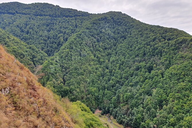 3 Days Private Tour Romania with Transfagarasan Road from Bucharest - Who Is This Tour Best For?