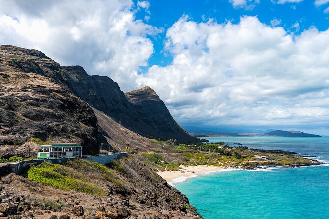 4 Day Pass LeaLea Trolley and Waikiki Trolley Pink Line - Who is this tour ideal for?