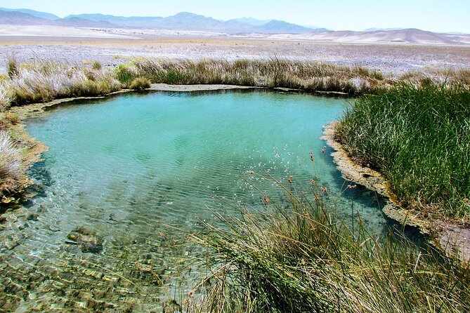 4 hr Private Adventure to Secret Hot Springs near Death Valley - FAQ