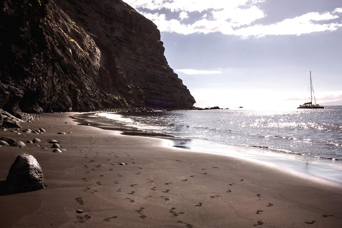 5 hrs. Watching and listening whales and dolphins visiting Los Gigantes - FAQ