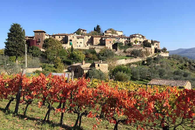 8 Days Private Tour Tuscany & Umbria Best Flavours - Days 4 and 5: Into the Heart of Tuscany
