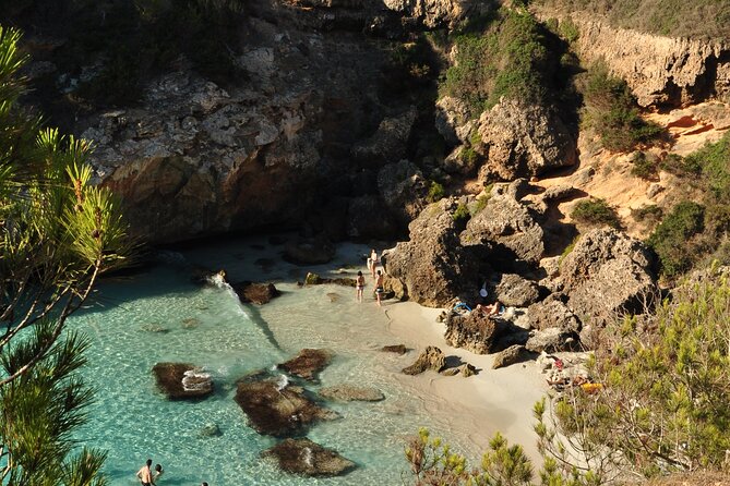 A unique experience on the Best Beaches and Coves of Mallorca - Frequently Asked Questions