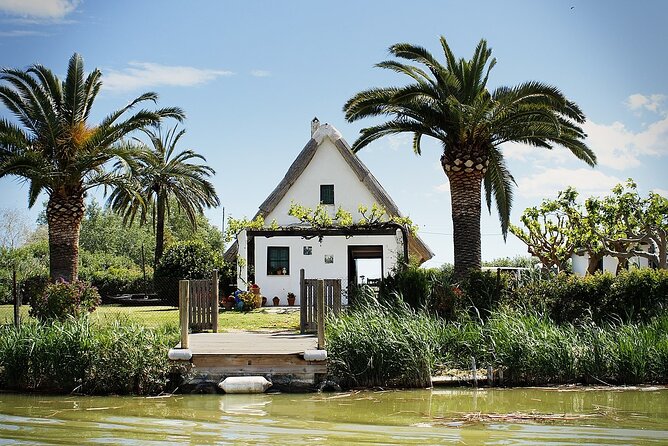 Albufera Natural Park with a Boat Tour from Valencia - Who Is This Tour Best For?