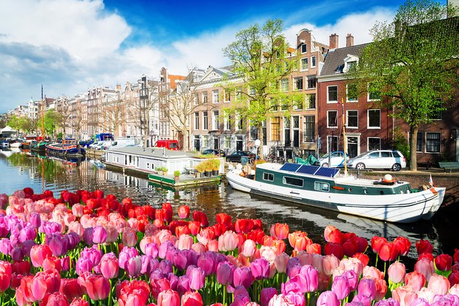 Amsterdam Private Sightseeing Tour for Kids & Families w/Local Guide - Final Thoughts