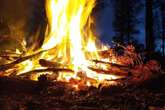 An Evening in the Backcountry, Northern Lights on a Sleighride - FAQs