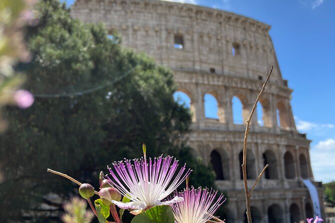 Ancient Rome Colosseum Ticket and Virtual Reality Experience - The Sum Up: Who Will Love This Tour?