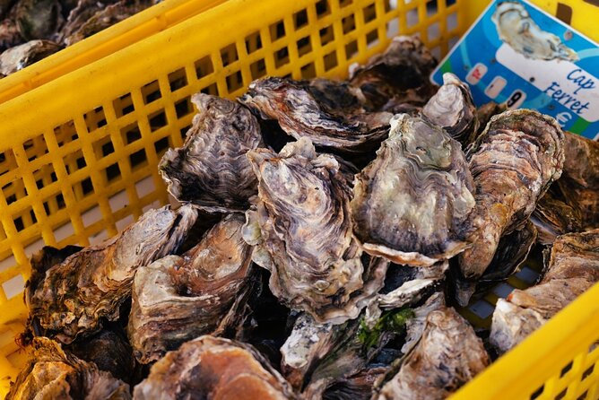 Arcachon Bay Full Day Trip from Bordeaux with lunch and Pyla Dune - Practical Tips for Travelers