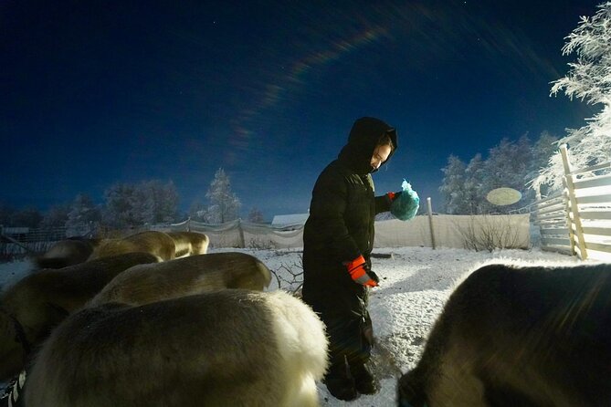 Arctic Adventure with Reindeer and Northern Lights Hunt 18:30 pm - FAQs