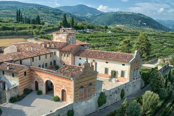 Art & Wine Experience in Valpolicella at Palazzo Montanari - Practical Tips for Visitors