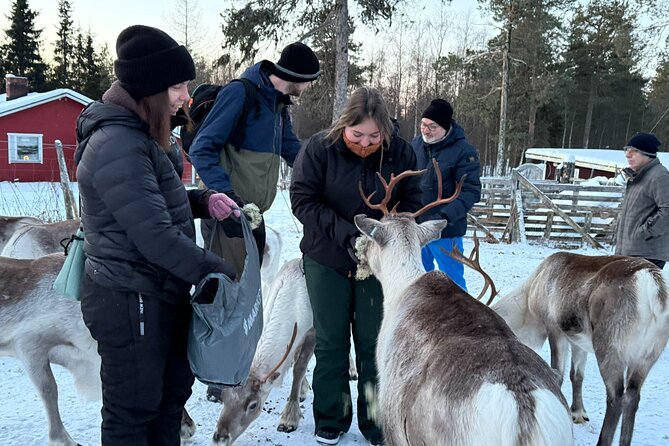Authentic Reindeer Experience and Ice Fish with Lunch in the Wild - Return Journey and Final Thoughts