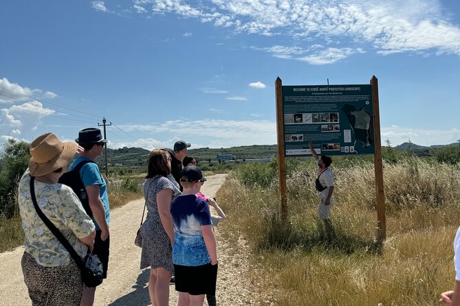 Birdwatching Experience in Narte Lagoon & Akerni Dunes - The Sum Up
