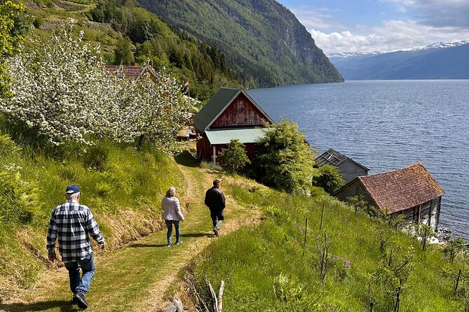 Briksdal Glacier and Loen Skylift day Excursion - Who Will Enjoy This Tour?