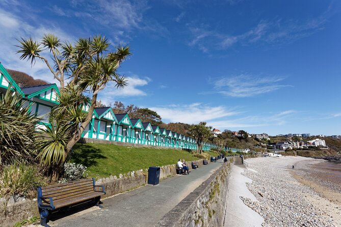 Cardiff: Gower Peninsula's Cliffs & Bays Scenic Day Tour - Who Should Consider This Tour?