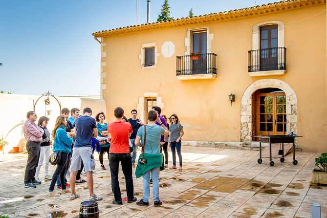 Cava Making Experience at the Local Winery in Barcelona - Who Is This Tour Best For?