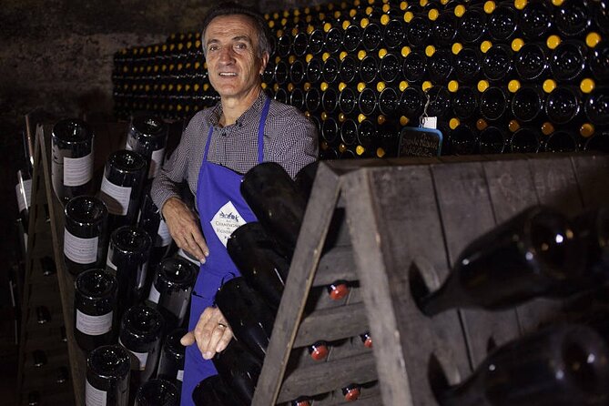 Champagne - Reims: Private tour from Paris by minivan - The Sum Up: Who Is This Tour Perfect For?