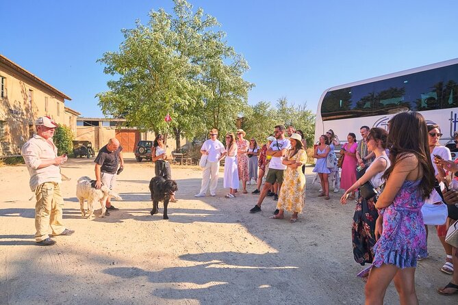 Chianti Wineries Tour with 7 Wine Tastings from Florence - FAQs