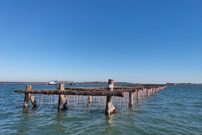 Chioggia : Aquaculture Secrets Tours of the Lagoon - Authenticity and Reviews: What Past Travelers Say