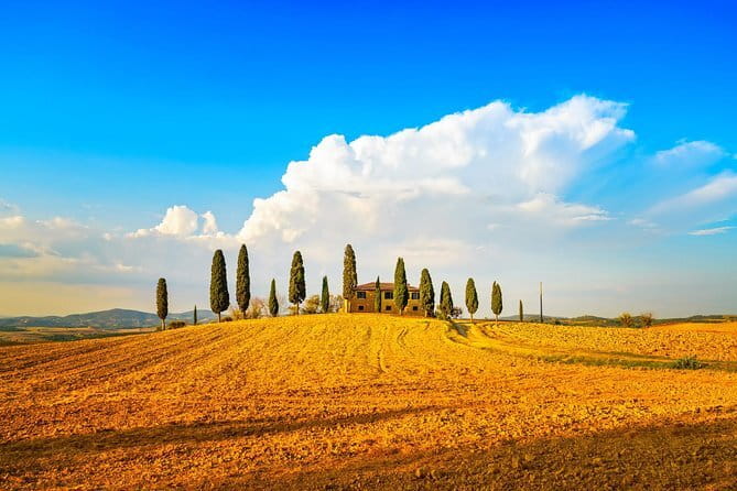 Cinque Terre and Pisa Full Day Tour from Florence - Who Is This Tour Best For?