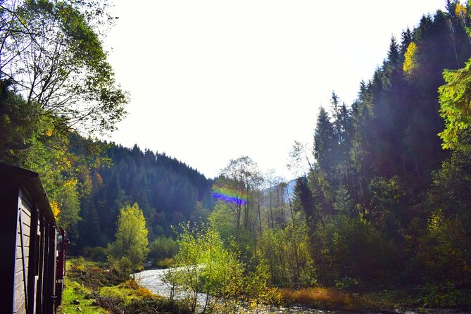 CJ03 - Day trip to Maramures Mocanita Train from Cluj Napoca - The Sum Up