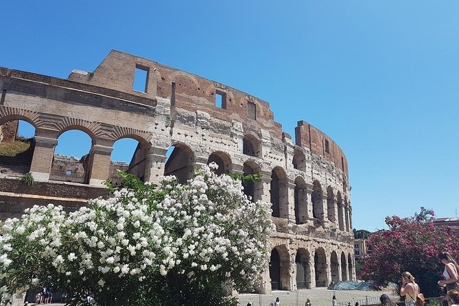 Colosseum Guided Tour - Practical Details & Tips for Your Visit