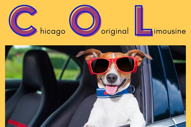 Curbside Sedan Transportation from O'Hare or Midway Airport to Downtown Chicago - The Sum Up