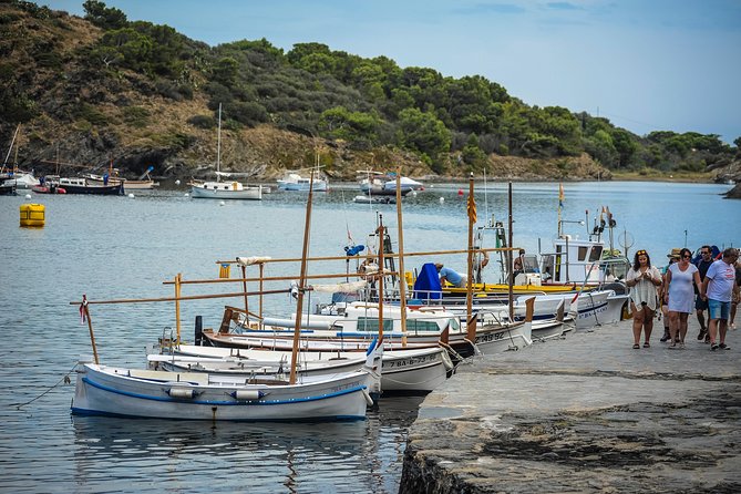 Dali Museum, House & Cadaques Small Group Tour from Barcelona - Who Would Love This Tour?
