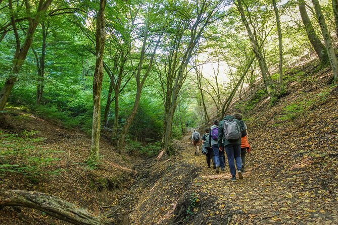 Danube Bend Hiking and Kayaking - Final Thoughts
