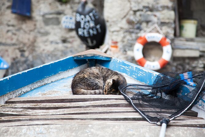 Day Trip Cinque Terre from Milan - FAQs about the Cinque Terre Day Trip from Milan